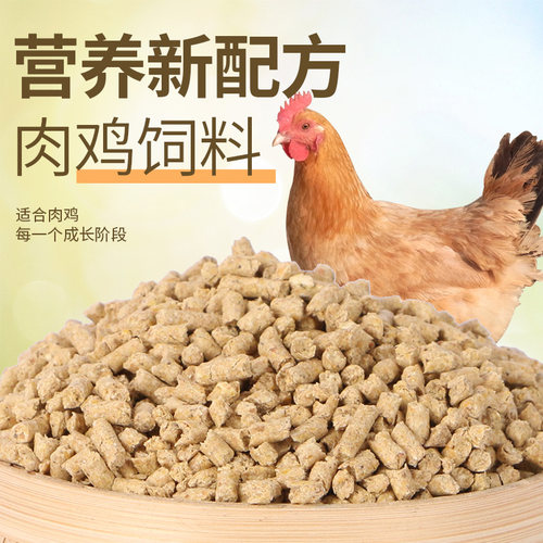 直销100鸡饲料高营养抗球虫