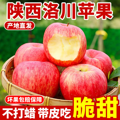 正宗陕西洛川苹果新鲜水果红富士当季整箱脆甜产地直发
