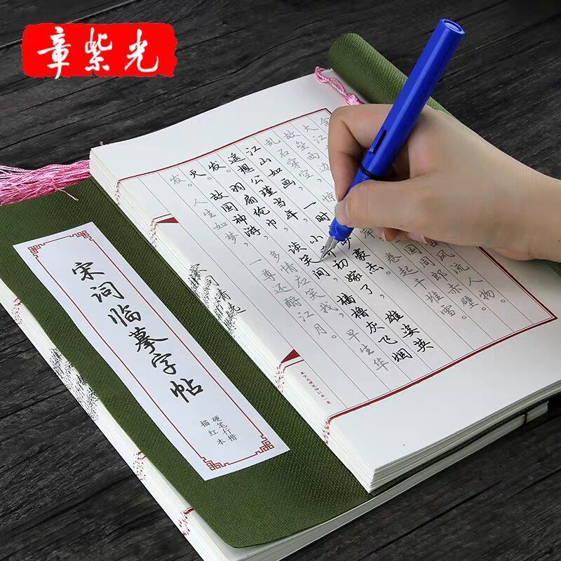 宋词行楷字帖章紫光成人钢笔行书练字帖古风宋词国学硬笔书法行楷描红