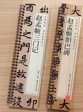 赵孟頫三门记楷书字帖全文收录经典碑帖赵孟頫胆巴碑字帖楷书毛笔书法字帖近距离临摹字卡原大版附简体旁注译文对照原帖赵孟頫字帖