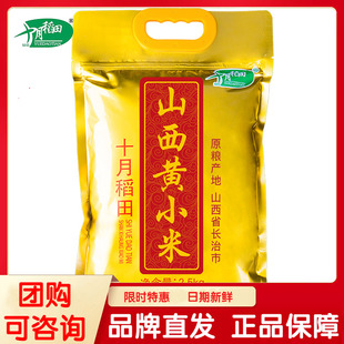 十月稻田山西黄小米2.5kg五谷杂粗粮山西长治小黄米月子粥米农家