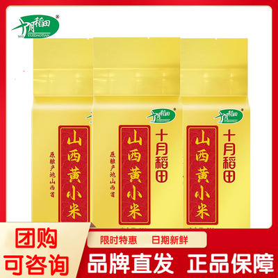 十月稻田山西黄小米500g*3