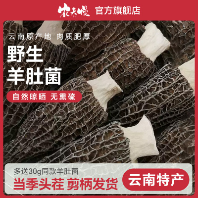 野生羊肚菌干货官方旗舰店正品新鲜牛肚菌云南特产羊肚蘑500g