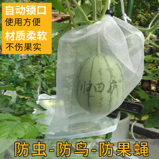 西瓜套袋苦瓜专用袋南瓜丝网袋冬瓜黄瓜丝瓜袋子西红柿防虫防鸟袋
