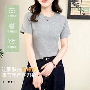 显瘦内搭正肩春装 春季 上衣女修身 t恤女圆领锁骨打底衫 批发 短袖