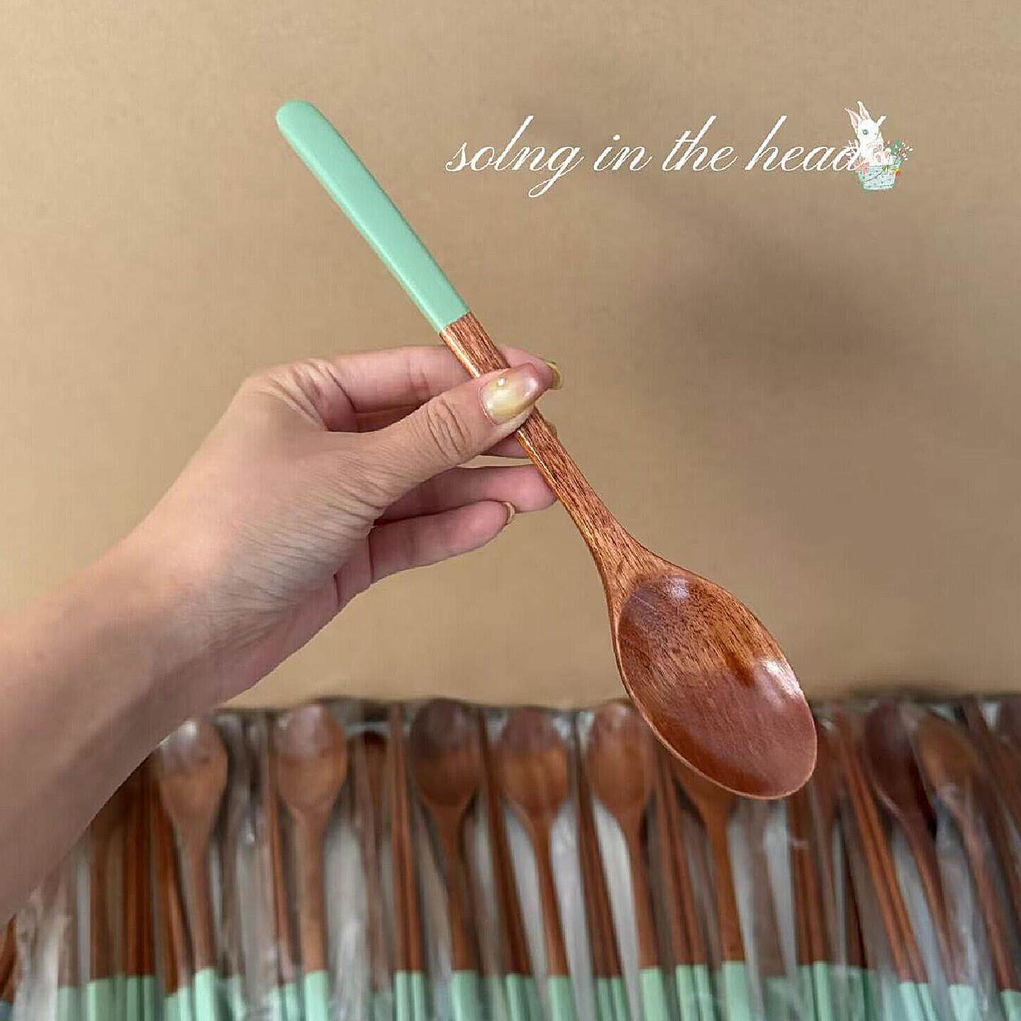 韩国进口剧综艺剧同款天然漆彩色马卡龙可爱实木质日式勺筷子餐具