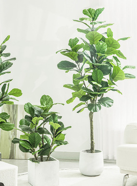 琴叶榕彷真绿色植物盆栽假植物装饰彷生绿植客厅大型摆件假花树彷