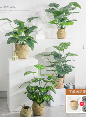 北欧风客厅仿真绿植龟背竹小盆栽