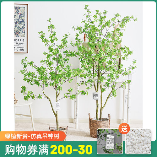 北欧风仿真绿植摆件日本吊钟