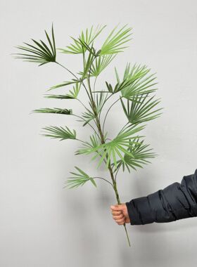 仿真植物金山棕竹榈树扇葵蒲葵树室内客绿植造景装饰落地摆件假树