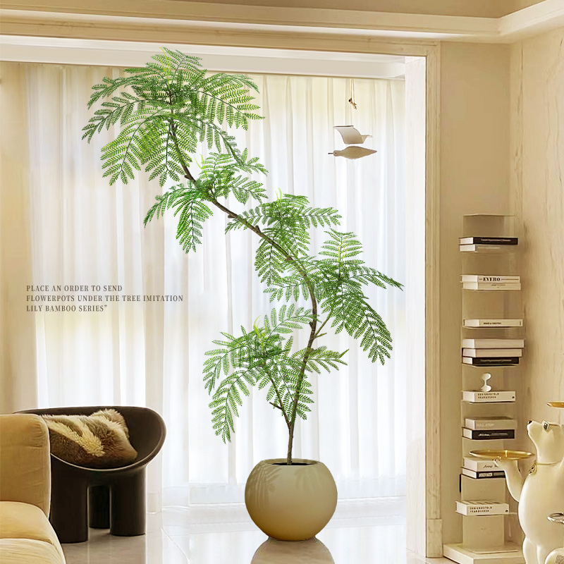 客厅装饰氛围感绿植蓝花楹