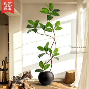 饰仿生植物假绿植 孟加拉榕仿真绿植高端轻奢室内客厅高级中古风装