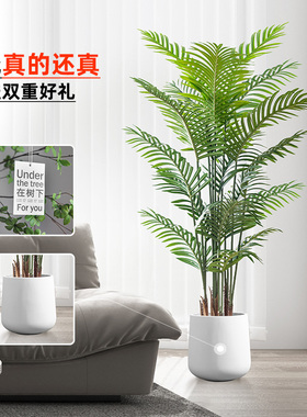 散尾葵仿真植物盆栽大型假绿植