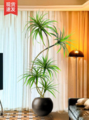 彷真绿植龙血树假植物高端轻奢客厅装 饰树室内大型盆栽落地摆件