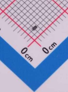 TS0301TBX 静电和浪涌保护(TVS/ESD) TS0301TB DFN1006-2L