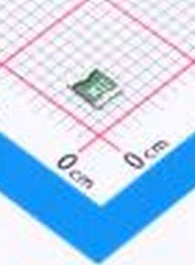 MICROSMD110F-2 自恢复保险丝 6V 1.1A 1210自恢复 1210