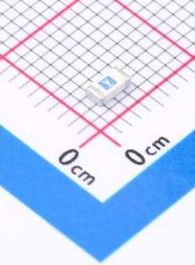 0407006.WR 一次性保险丝 0407006.WR 1206