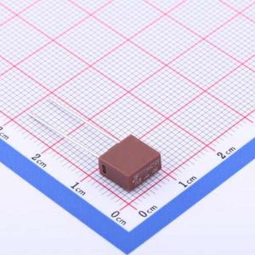 2010T315mA250V 一次性保险丝 315mA 250V 插件