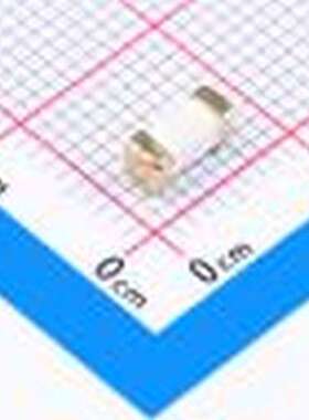 2410 F100mA/125V 一次性保险丝 贴片一次性保险丝FUSE SMD