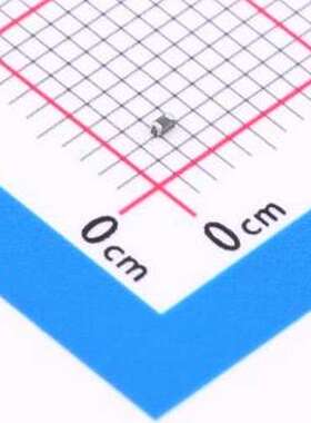 0402L020SL6SR 自恢复保险丝 6V 200mA 低内阻自恢复 0402