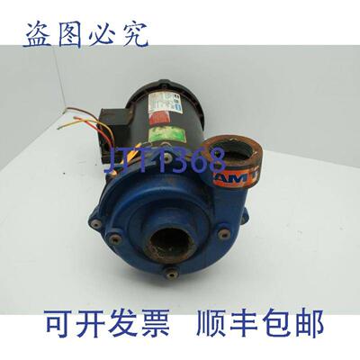 供应AMTLeeson 111010300 泵 208-230460V 3 3PH