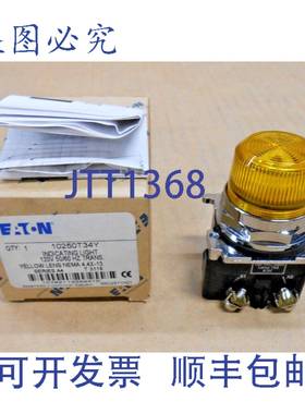 原装供应进口 10250T34Y 变压器指示灯黄色镜片 120V（2 个）