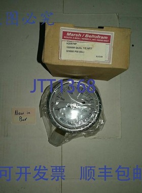 原装供应MARSH H20578P 100 毫米 QUAL 1/2 NPT 压力表 3000 PSI