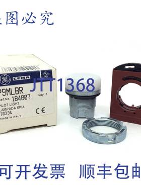 原装 供应指示灯 184807 白色 22 毫米 P9MLBR