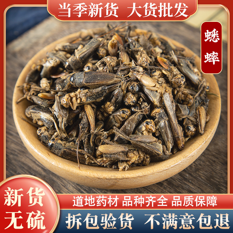 蟋蟀中药材500克 新货干蛐蛐 夜鸣虫 将军虫 蟋蟀干 药用净选无杂