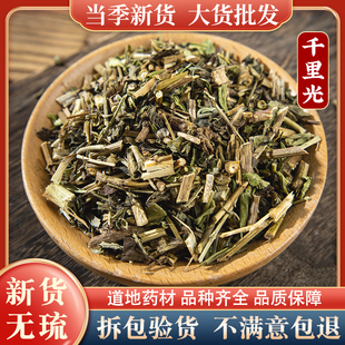 千里光中草药500克千里光中药材正品新货山区野货千里光草药精选