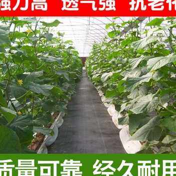 新款厂促用布草布除草j布果园地布黑色园草防膜果树大棚防艺品