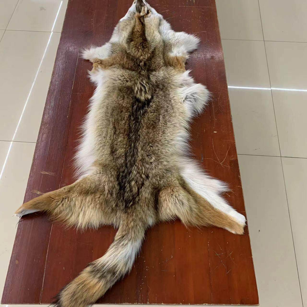 进口整张郊狼皮加拿大郊狼床边毯皮草家居摆件装饰品坐垫DIY手工