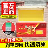 八千中蜂成品巢框带框巢础标准蜜蜂箱专用巢脾纯正蜂蜡养蜂工具
