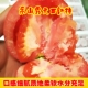 云南自熟西红柿粉果老品种水果番茄沙瓤高山露天种植新鲜拒绝催熟