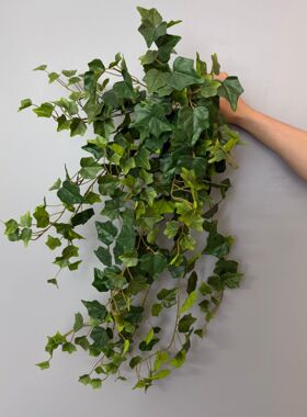 大把束常春藤植物墙藤条装饰室内外吊兰垂吊壁挂爬藤挂藤绿植