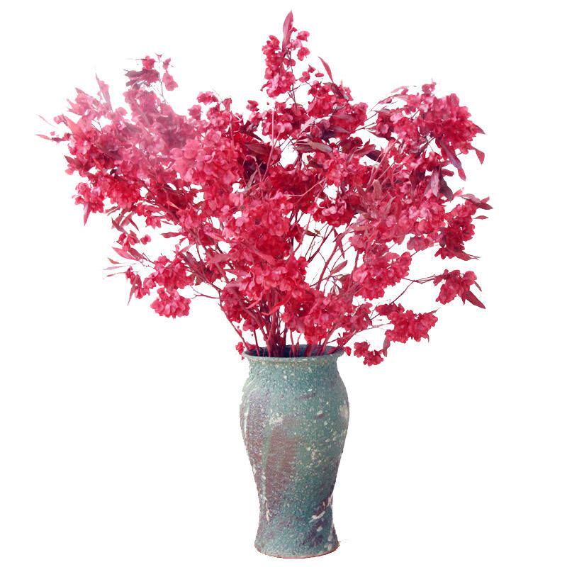 过年送礼年宵花中式大红白色蝴蝶花迎客豆永生花干花家居装饰