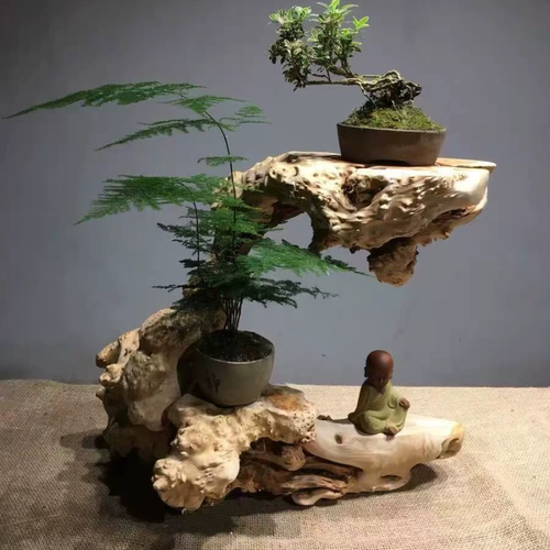 天然实木树根雕奇石底座绿植花卉陶瓷佛像花瓶花盆栽摆件随形托架