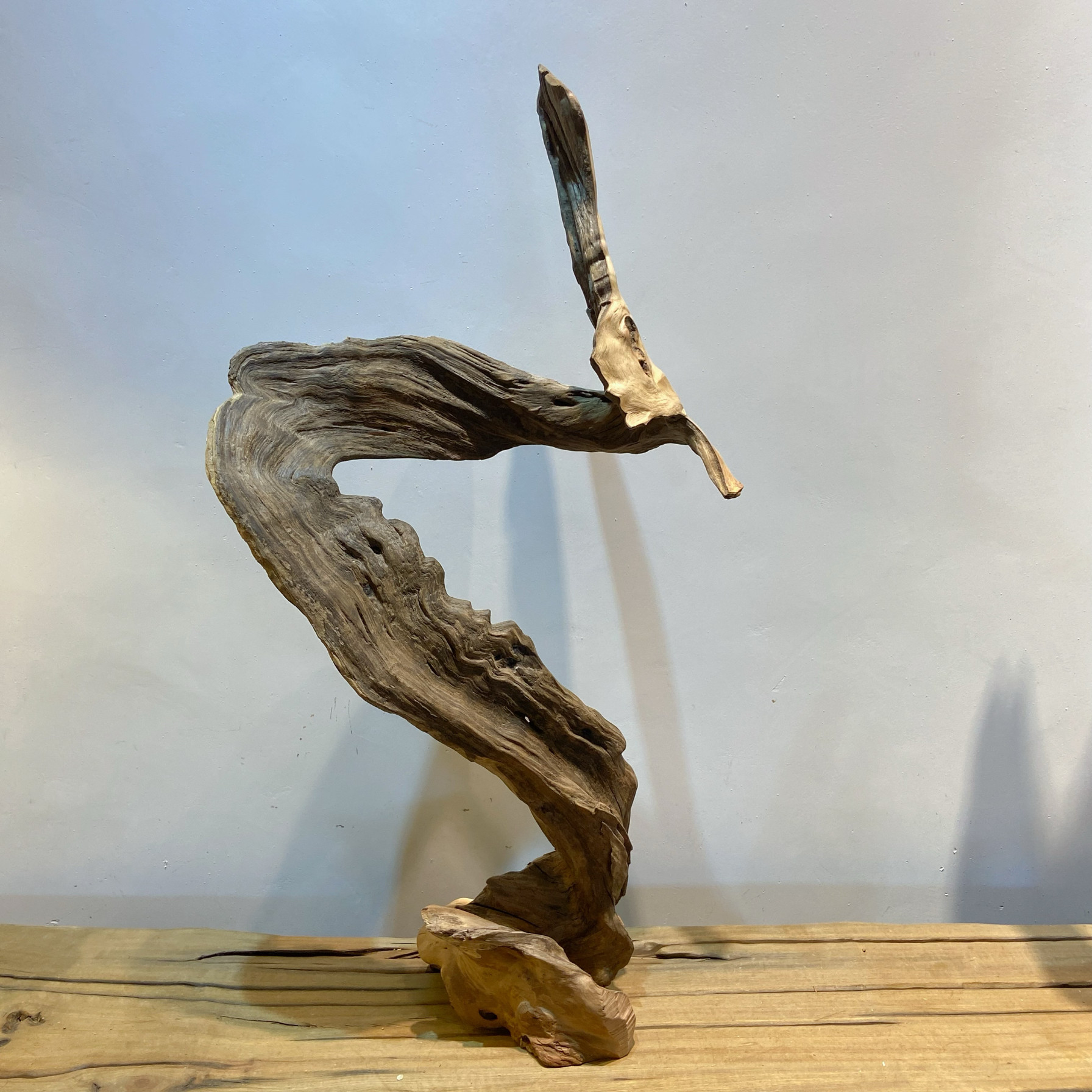 天然风化木枯木树根雕侘寂风摆件爬宠造景木枝条树枝雨林景装饰品