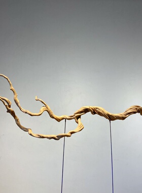 杜鹃树根单根枝条插花软装树根鱼缸造景枯木鸟站杆装饰摆件