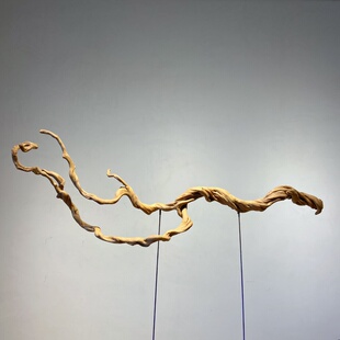 杜鹃树根单根枝条插花软装树根鱼缸造景枯木鸟站杆装饰摆件