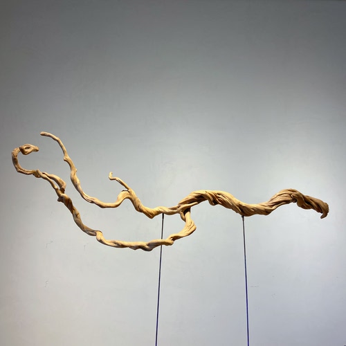 杜鹃树根单根枝条插花软装树根鱼缸造景枯木鸟站杆装饰摆件