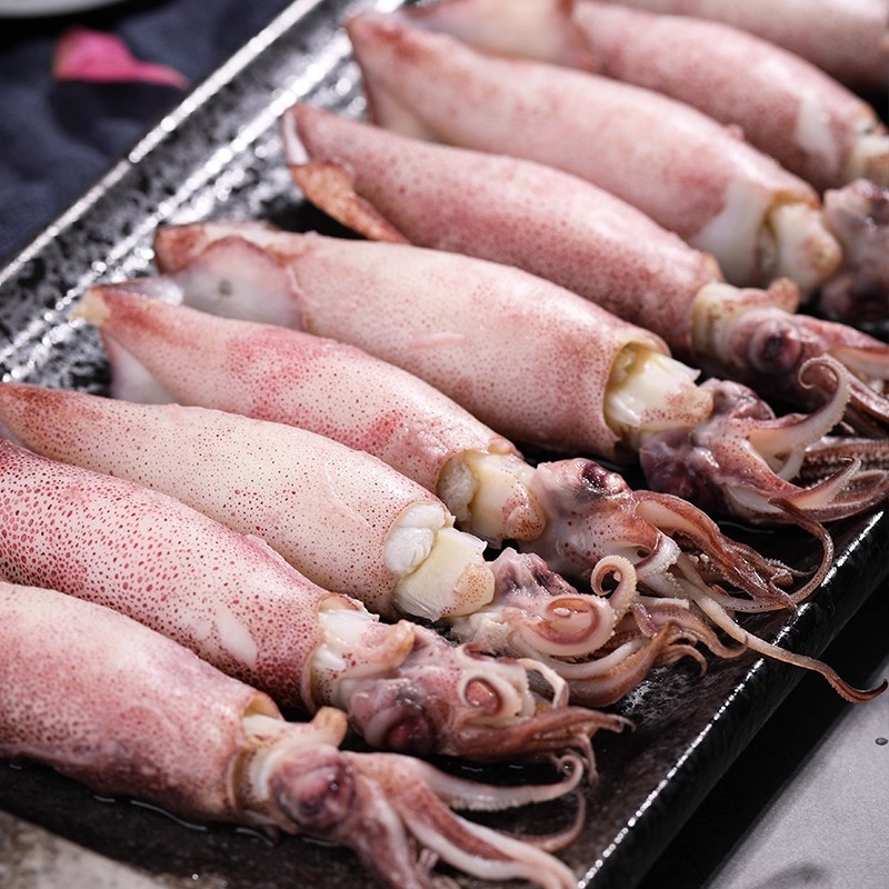 5斤围网鱿鱼--顺丰发货包鲜不包活