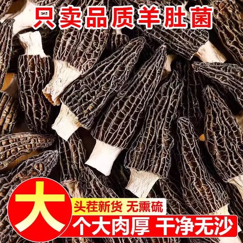 剪柄羊肚菌干货野生500g特级野生云南新鲜羊肚菇煲汤官方旗舰店