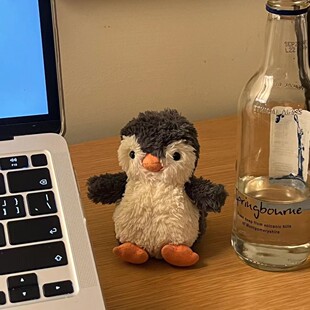 Jellycat花生企鹅11cm 23cm珀西企鹅柔软毛绒玩具安抚玩偶礼物新