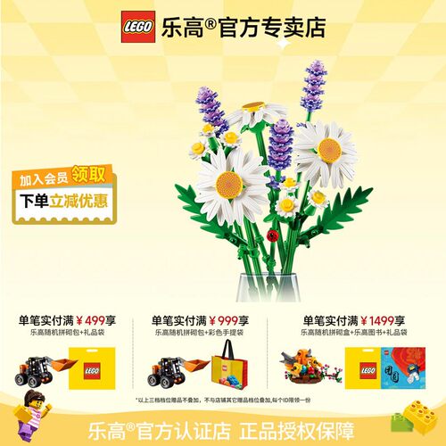 乐高花束系列11508雏菊133粒