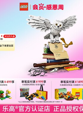 LEGO乐高哈利波特76391海德薇猫头鹰儿童拼搭积木男孩玩具