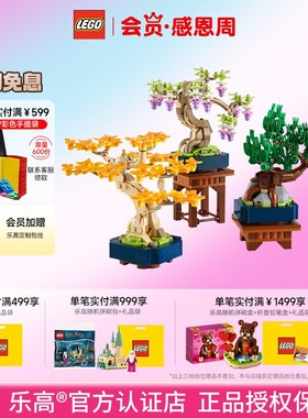 LEGO乐高10373迷你乐高盆景拼搭积木儿童模型玩具礼物 8月新品