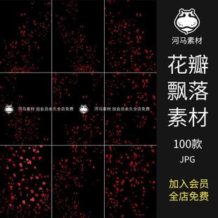 浪漫红玫瑰花瓣雨飘落散落满天后期合成ps叠加特效JPG黑底图素材