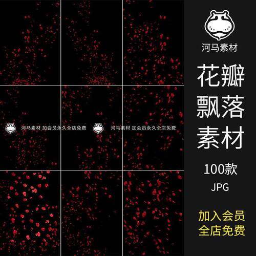 浪漫红玫瑰花瓣雨飘落散落满天后期合成ps叠加特效JPG黑底图素材