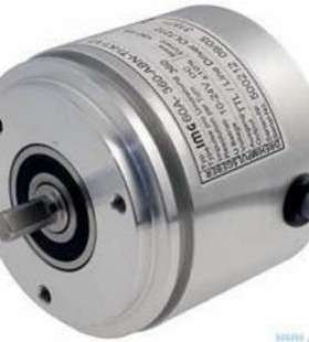 .NETTER 15-09-17e 品类全